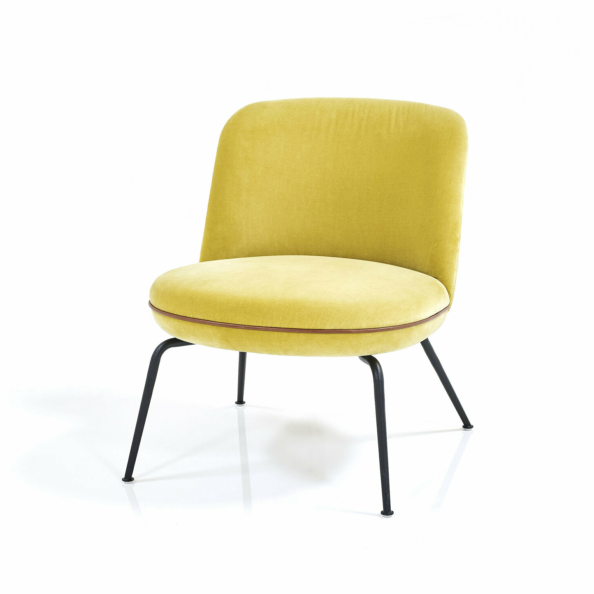 Merwyn Lounge Chair in velvet gold 