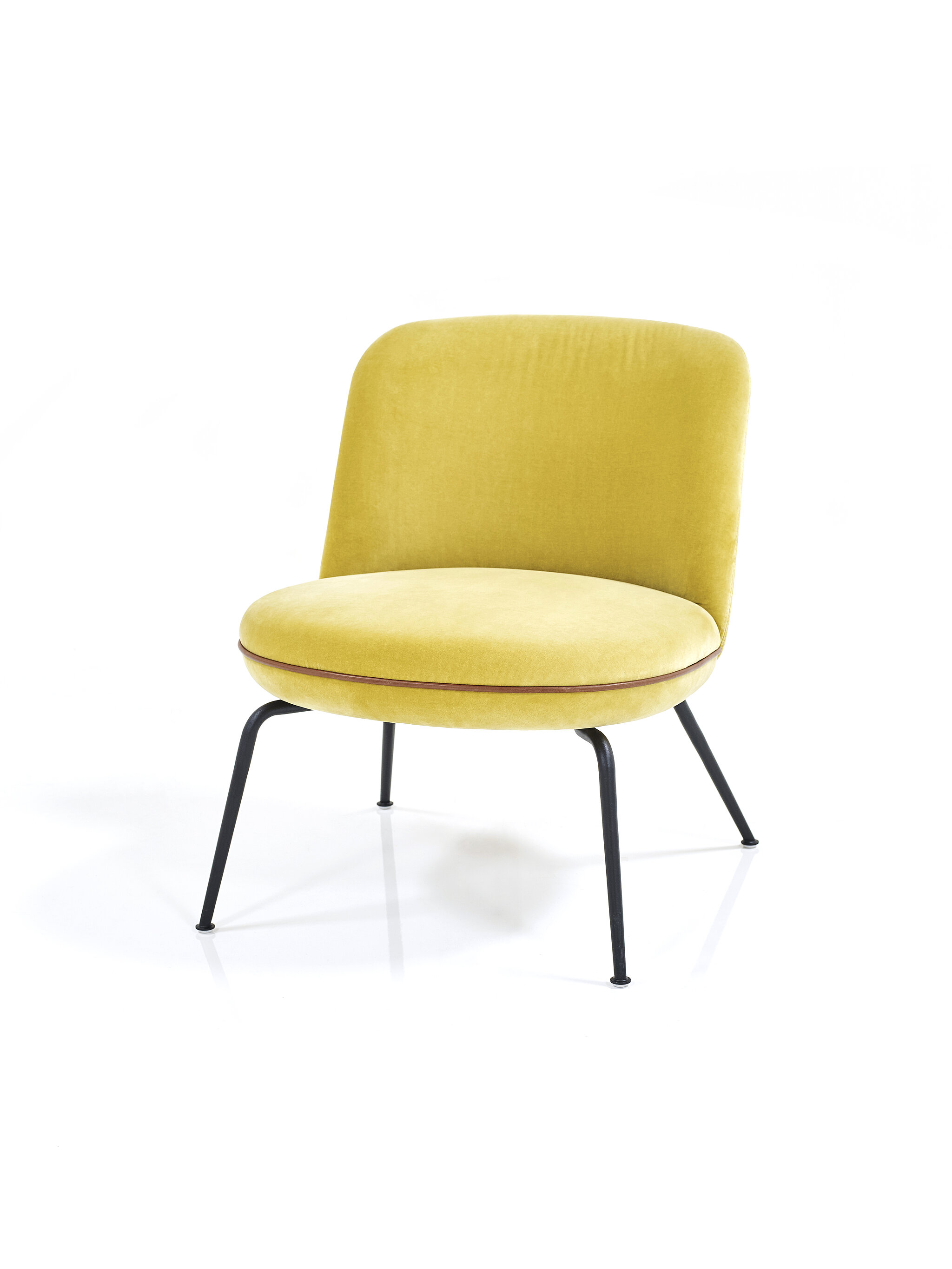 Merwyn Lounge Chair in velvet gold 
